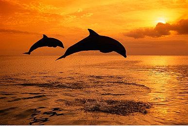 《卧龙：苍天陨落》体验版问卷回馈出炉